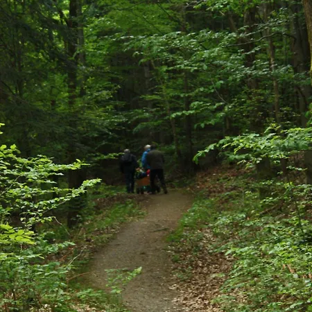 別荘 Ferienhaus-pahl-in-wolfshagen